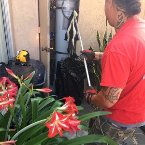 Chris K Removing a Skunk in San Pedro