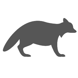 San Pedro Raccoon Trapping, Removal & Control Services