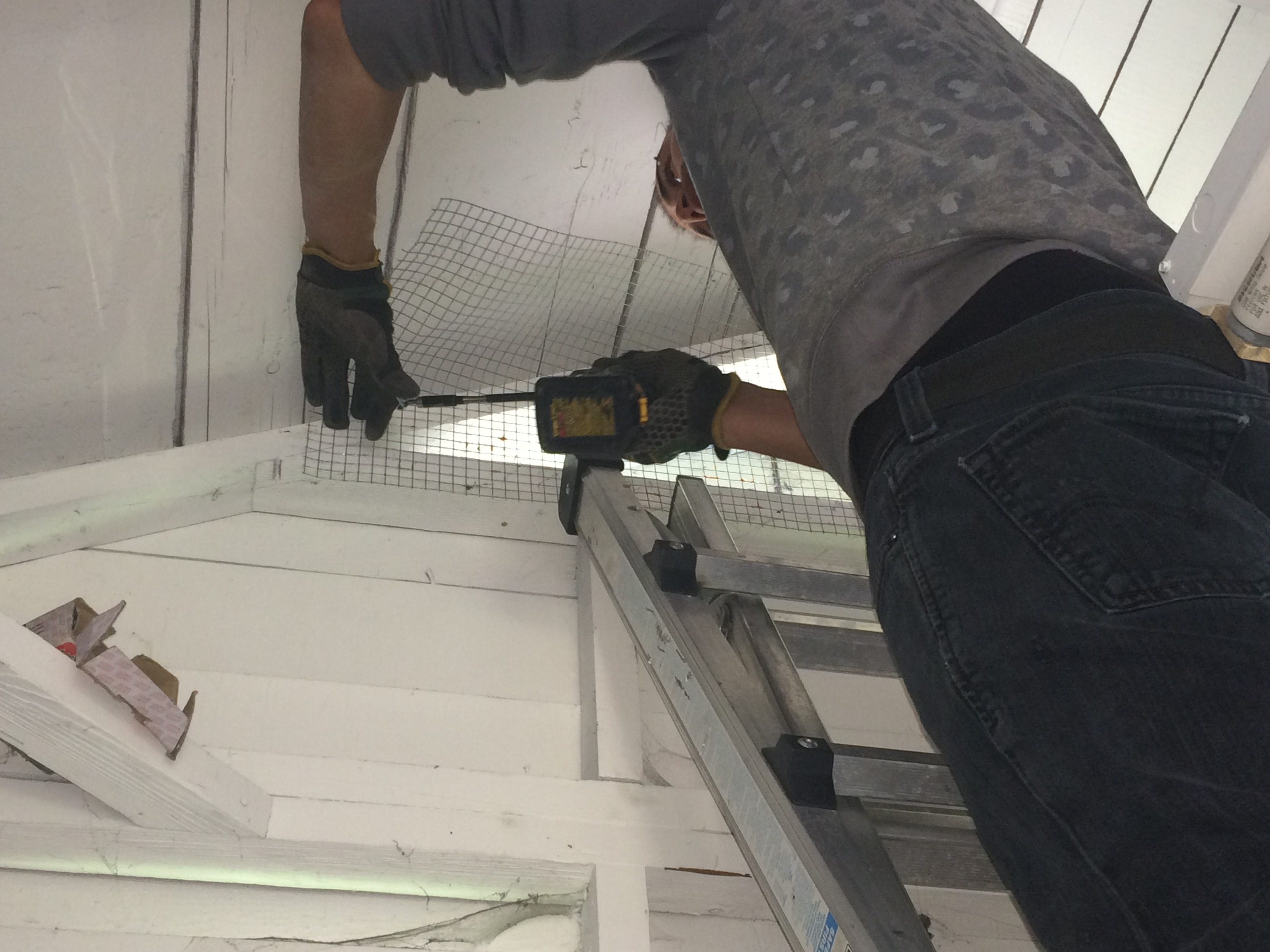 Technician sealing roof eave against raccoons